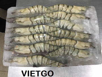 tôm sú xuất khẩu